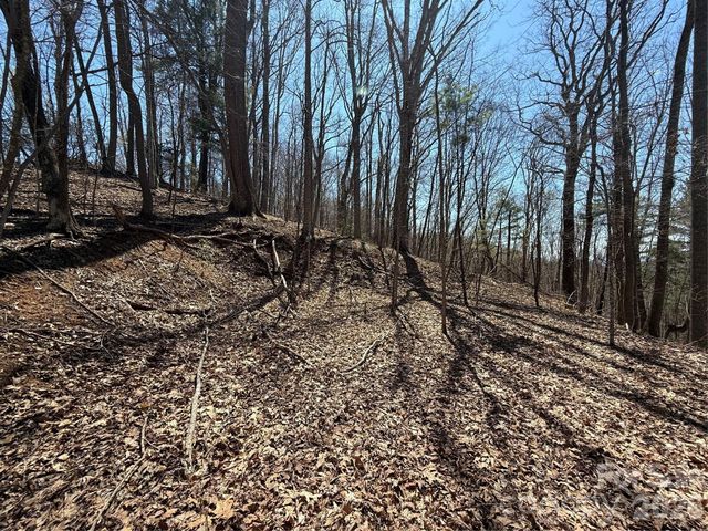 000 Granny Shepherd Road Lot 3, Mars Hill, NC 28754