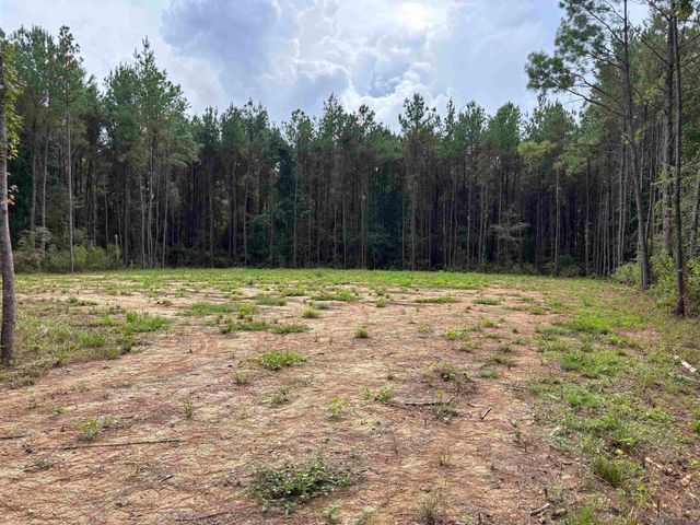 17706 Copper Pass, Livingston, LA 70754