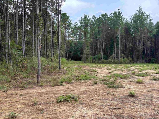 17706 Copper Pass, Livingston, LA 70754
