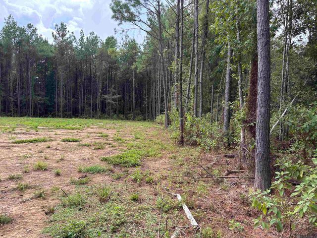 17706 Copper Pass, Livingston, LA 70754