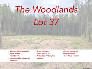 17706 Copper Pass, Livingston, LA 70754