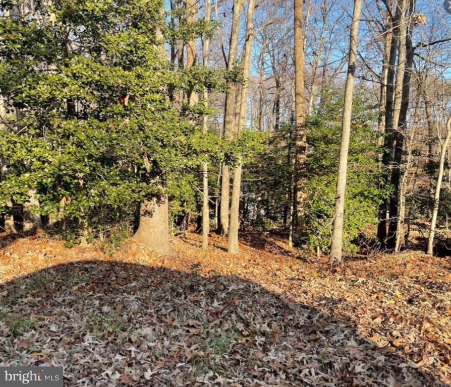 11428 REDLANDS ROAD, Lusby, MD 20657