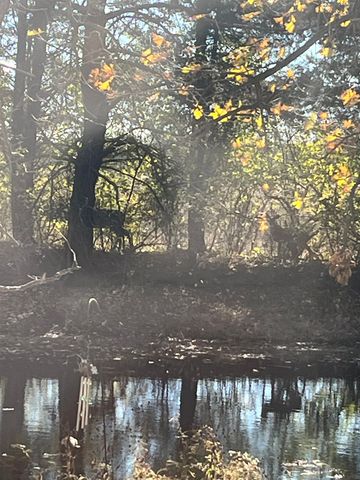 7491 Coldwater Road, Flushing Twp, MI 48433