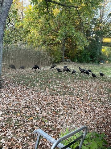 7491 Coldwater Road, Flushing Twp, MI 48433