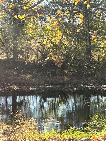 7491 Coldwater Road, Flushing Twp, MI 48433