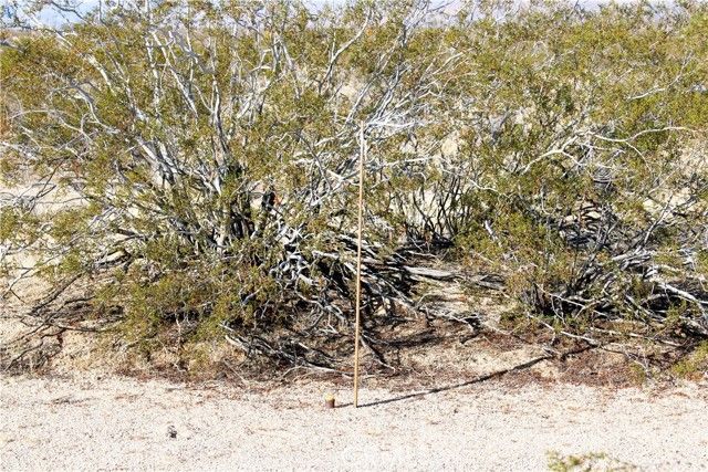 61308105 Dorth Place, Twentynine Palms, CA 92277