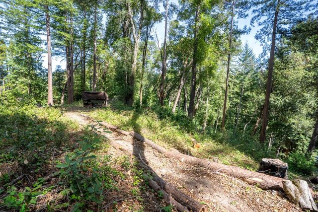 973 Forest Way, Brookdale, CA 95007