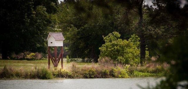 1086 Red Turnstone Run, Summerville, SC 29485