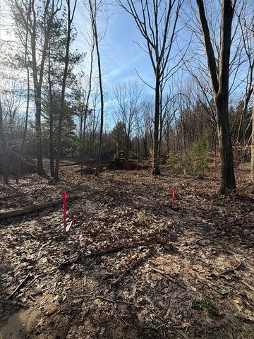 76757 Wood Crest Court, South Haven, MI 49090