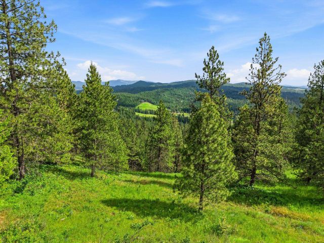 16301 N Scribner Branch Ln, Mead, WA 99217