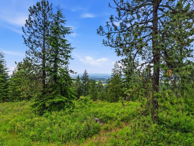 16301 N Scribner Branch Ln, Mead, WA 99217