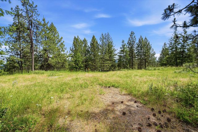 16301 N Scribner Branch Ln, Mead, WA 99217