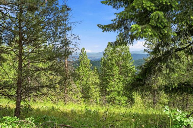 16301 N Scribner Branch Ln, Mead, WA 99217