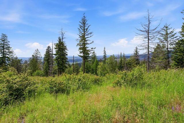 16301 N Scribner Branch Ln, Mead, WA 99217