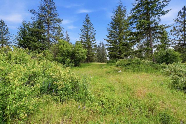 16301 N Scribner Branch Ln, Mead, WA 99217