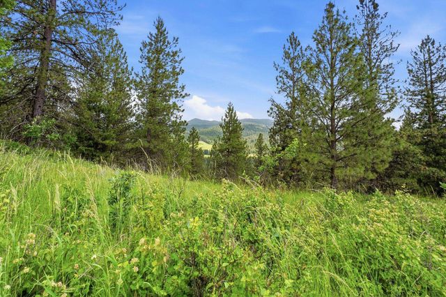 16301 N Scribner Branch Ln, Mead, WA 99217