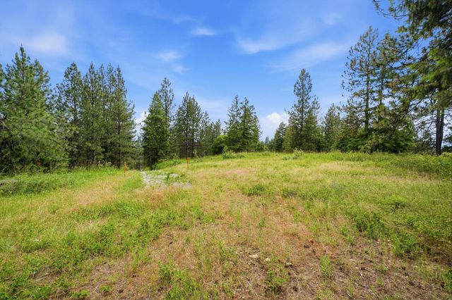 16301 N Scribner Branch Ln, Mead, WA 99217