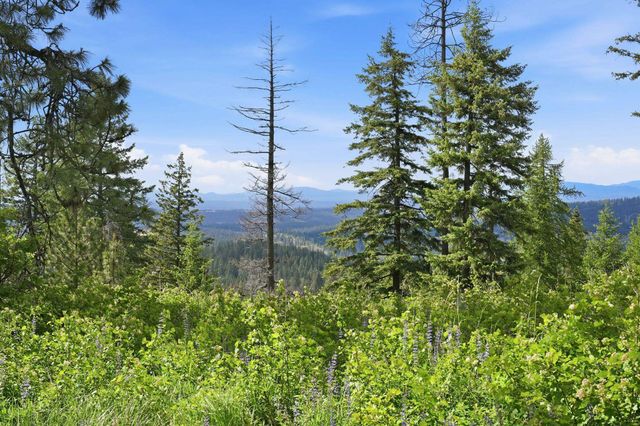 16301 N Scribner Branch Ln, Mead, WA 99217