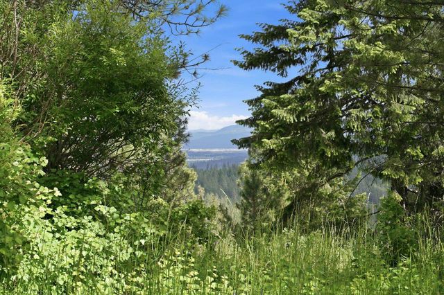 16301 N Scribner Branch Ln, Mead, WA 99217