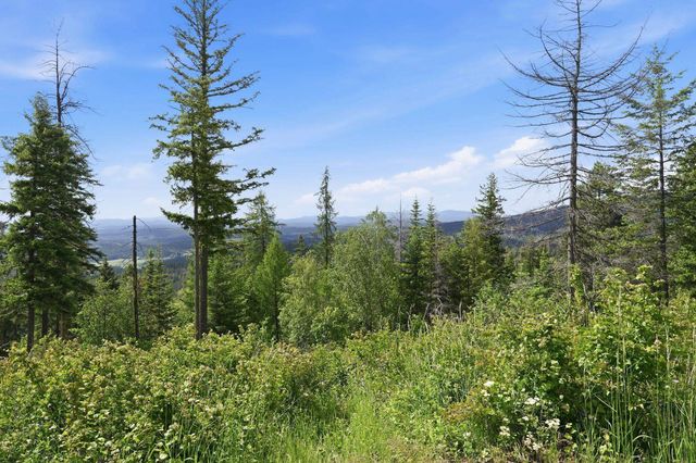 16301 N Scribner Branch Ln, Mead, WA 99217