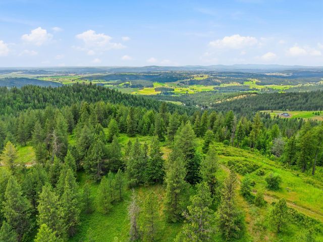 16301 N Scribner Branch Ln, Mead, WA 99217