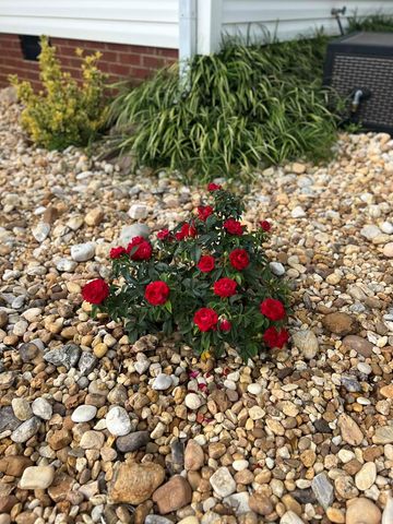 101 Lanier Drive, Chatsworth, GA 30705