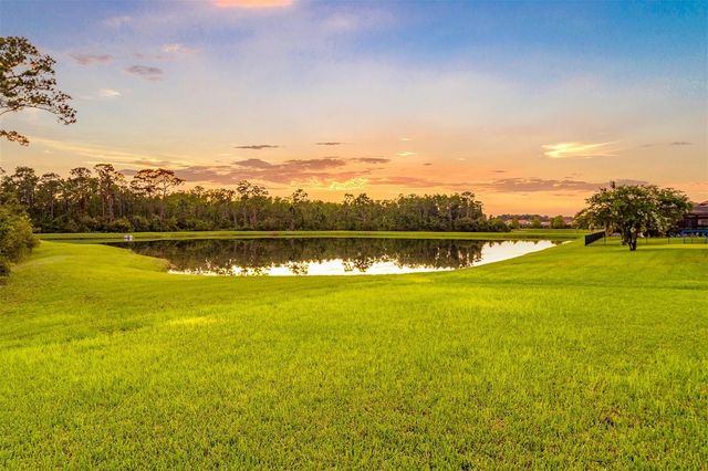 3099 BARBOUR TRAIL, Odessa, FL 33556