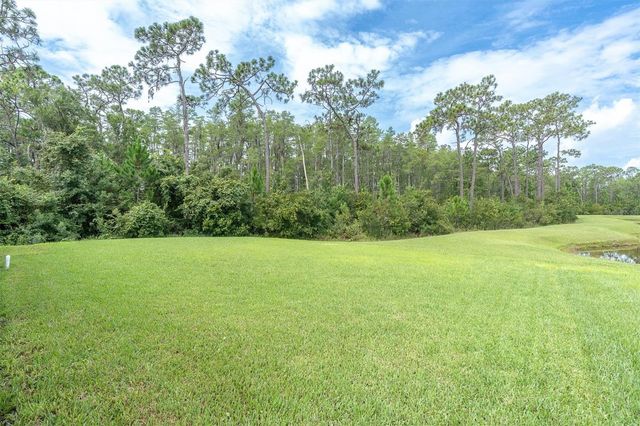 3099 BARBOUR TRAIL, Odessa, FL 33556