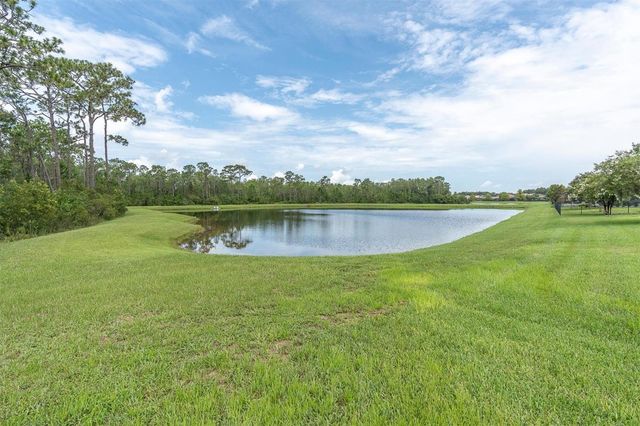 3099 BARBOUR TRAIL, Odessa, FL 33556