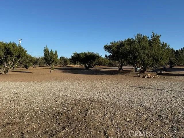 8170 Coyote, Oak Hills, CA 92344