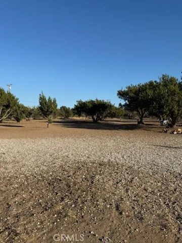8170 Coyote, Oak Hills, CA 92344