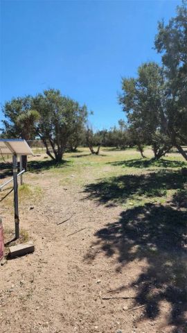8170 Coyote, Oak Hills, CA 92344