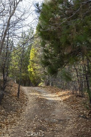 28287 Bern Lane, Lake Arrowhead, CA 92352