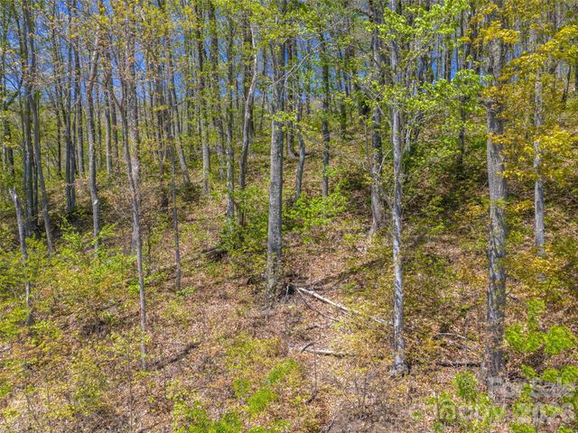 0000 Lovebird Lane 18, Candler, NC 28716