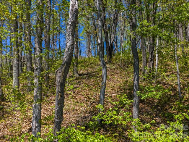 0000 Lovebird Lane 18, Candler, NC 28716