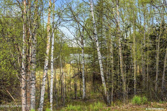 3142 E Olga Circle, Wasilla, AK 99654