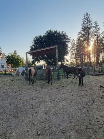 14507 S SHERMAN Rd, Spokane, WA 99224