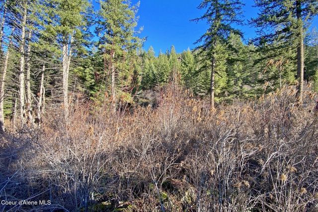 150 Castle Crest, Hope, ID 83836