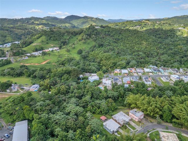 110 FREIRE CALLE RUBI, Cidra, PR 00739