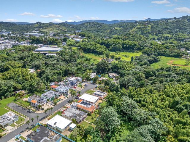 110 FREIRE CALLE RUBI, Cidra, PR 00739