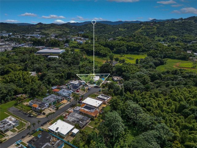 110 FREIRE CALLE RUBI, Cidra, PR 00739