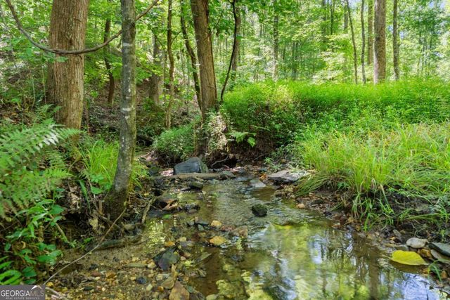 189 Peace Valley Road, Dahlonega, GA 30533