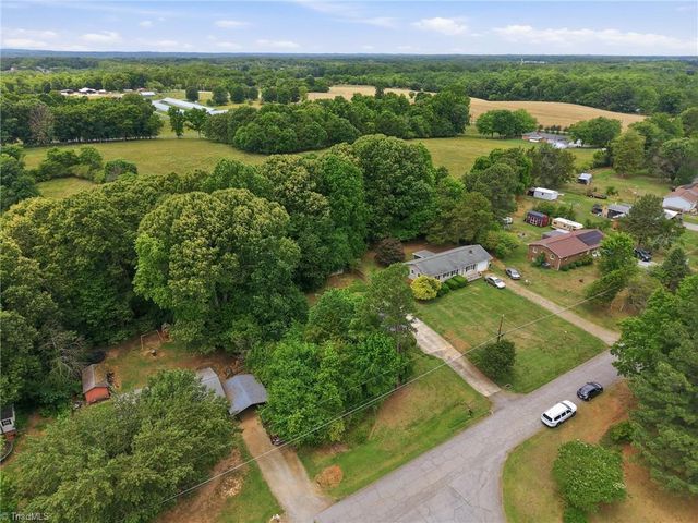 4207 Pheasant Ridge Drive, Sophia, NC 27350
