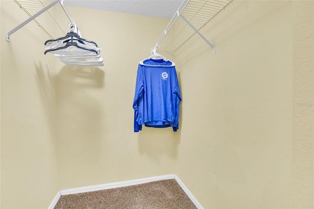 2915 BLOOMING ALAMANDA LOOP, Kissimmee, FL 34747