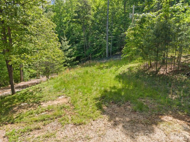 31 White Bridge Road, Weaverville, NC 28787