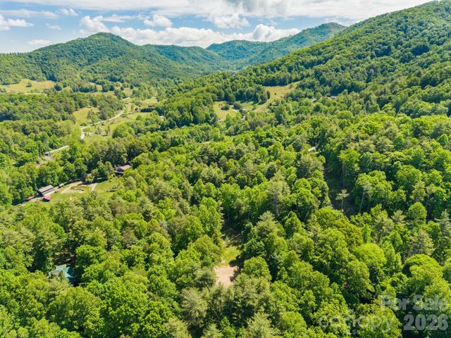 31 White Bridge Road, Weaverville, NC 28787