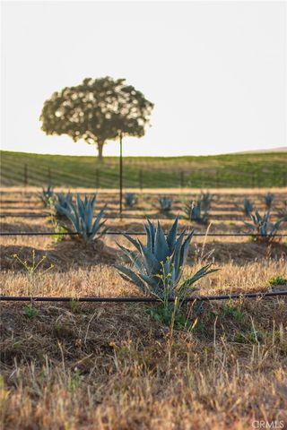 2980 Pleasant Rd, San Miguel, CA 93451