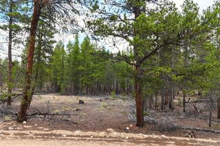 701 Cedar Drive, Leadville, CO 80461