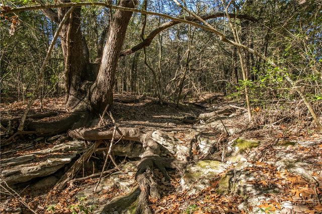 11107 Mt Falls School Road, Washington, TX 77880