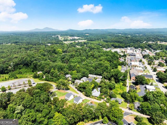 172 Llewellyn Street, Clarkesville, GA 30523